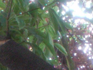 2010-10-20 10.22.41_Richmond_California_US